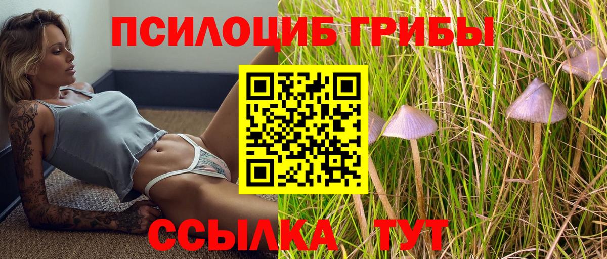 Псилоцибиновые грибы MAGIC MUSHROOMS  Вход с VPN  Подольск  Псилоцибиновые грибы прущие грибы 